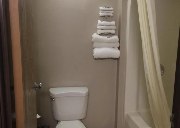 Super 8 By Wyndham Hotel 2*